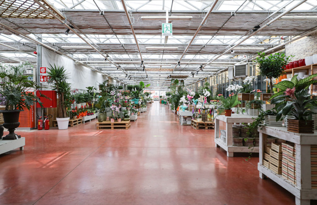 piante da interno