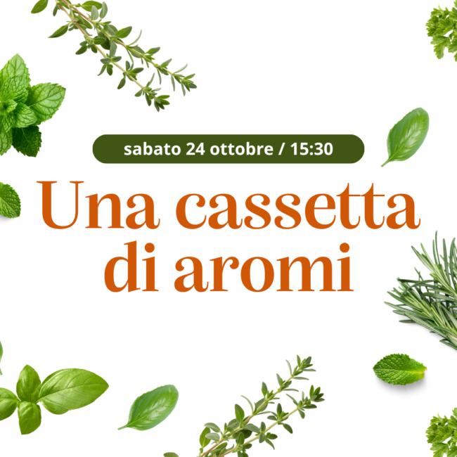 Una cassetta di aromi