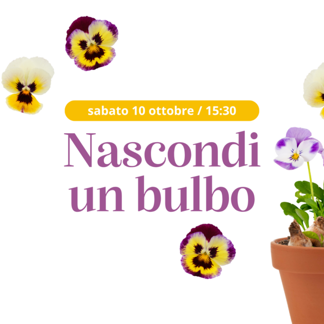 Nascondi un bulbo