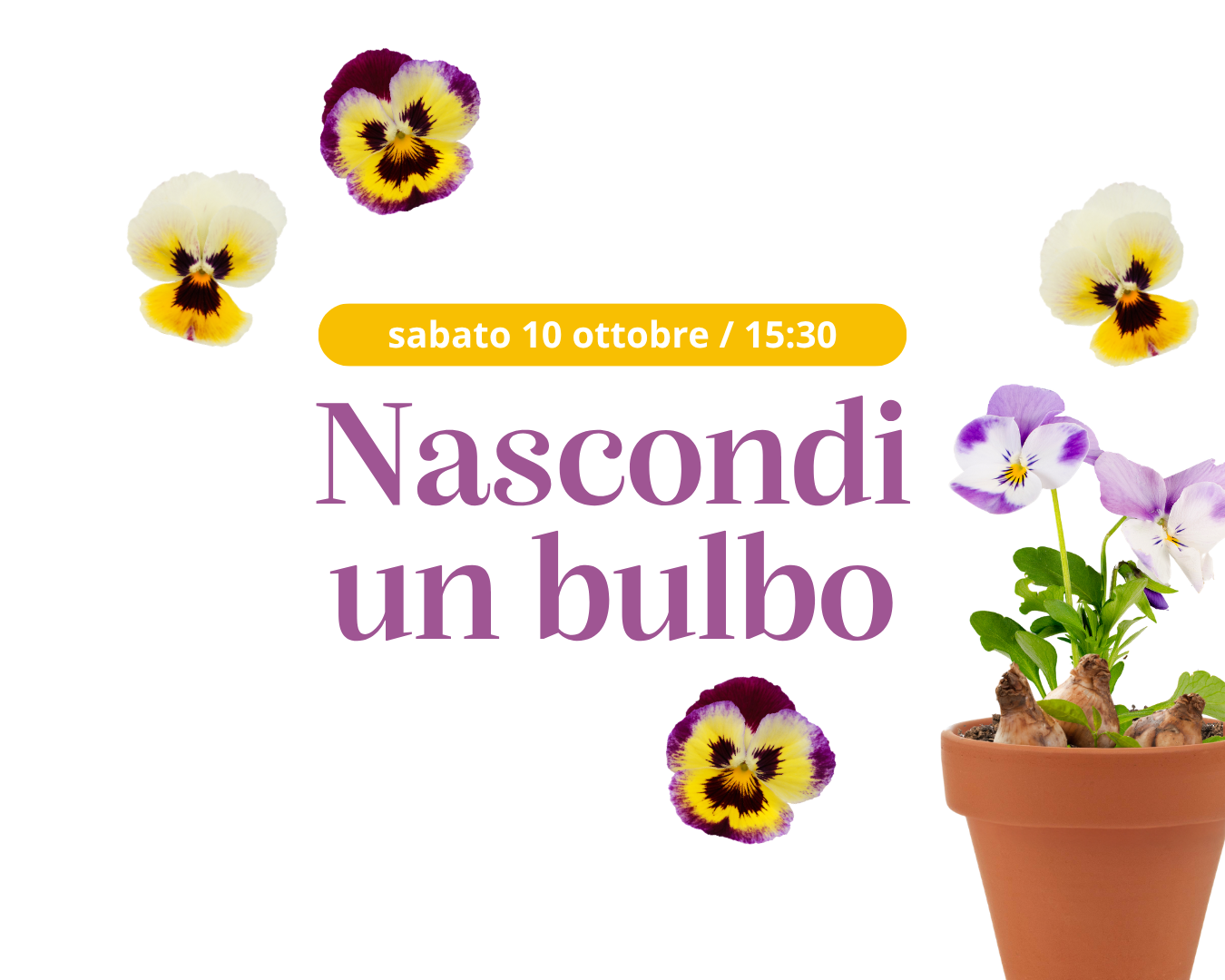 Nascondi un bulbo